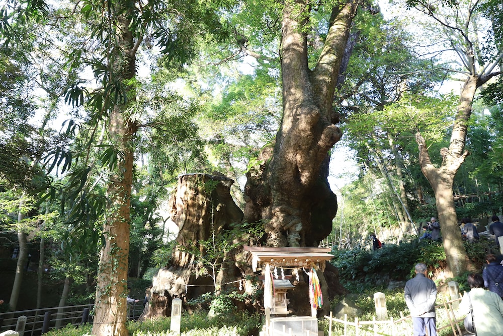 熱海来宮の湯 松月 熱海