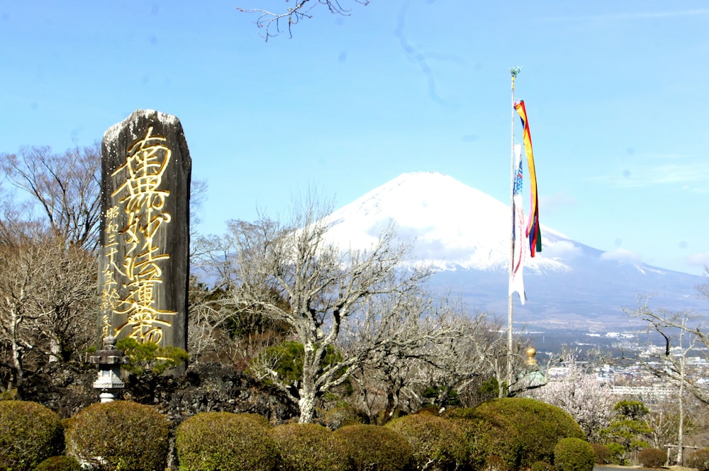 藤乃煌 富士御殿場 熱海