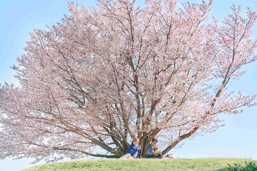 川奈ホテル 熱海