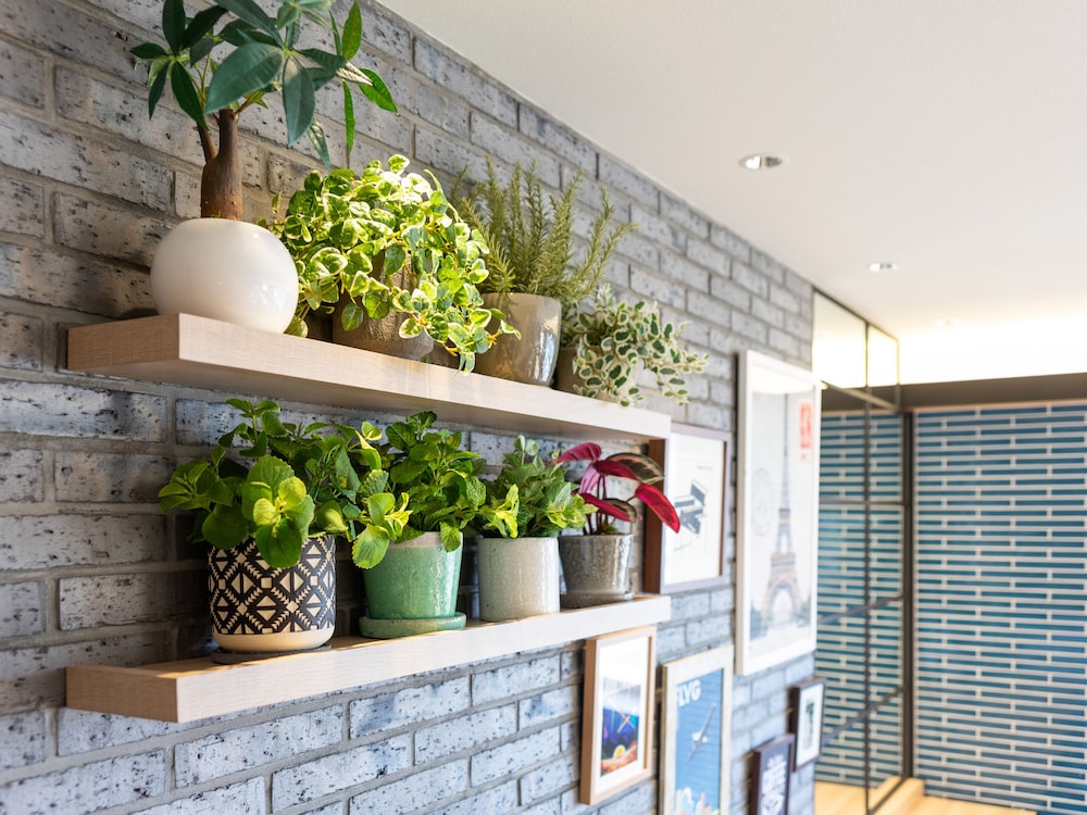 スーパーホテル御殿場 1 号館 熱海