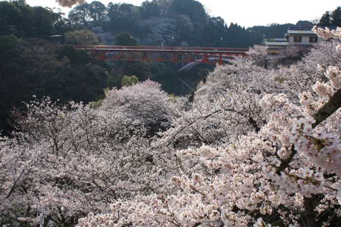 信貴山観光ホテル 奈良
