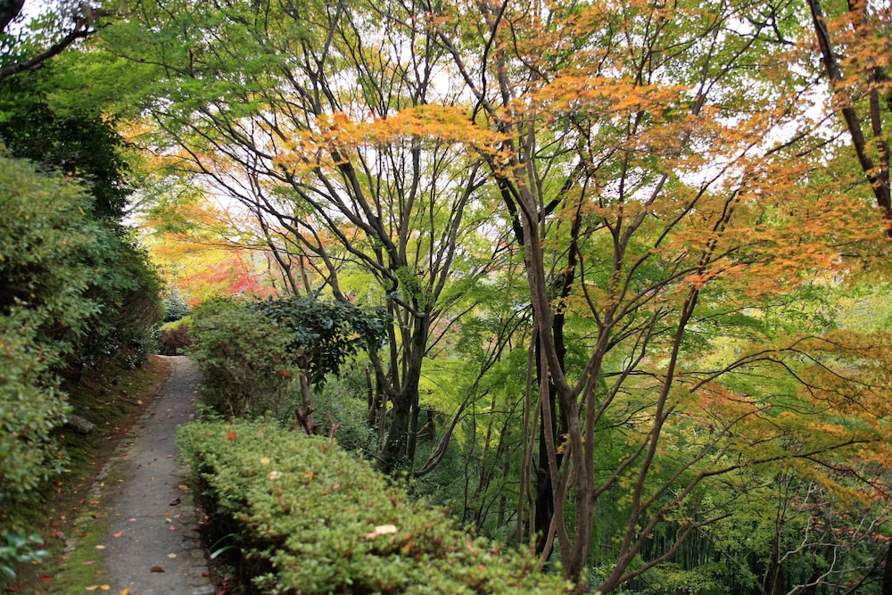 竹林院群芳園 奈良