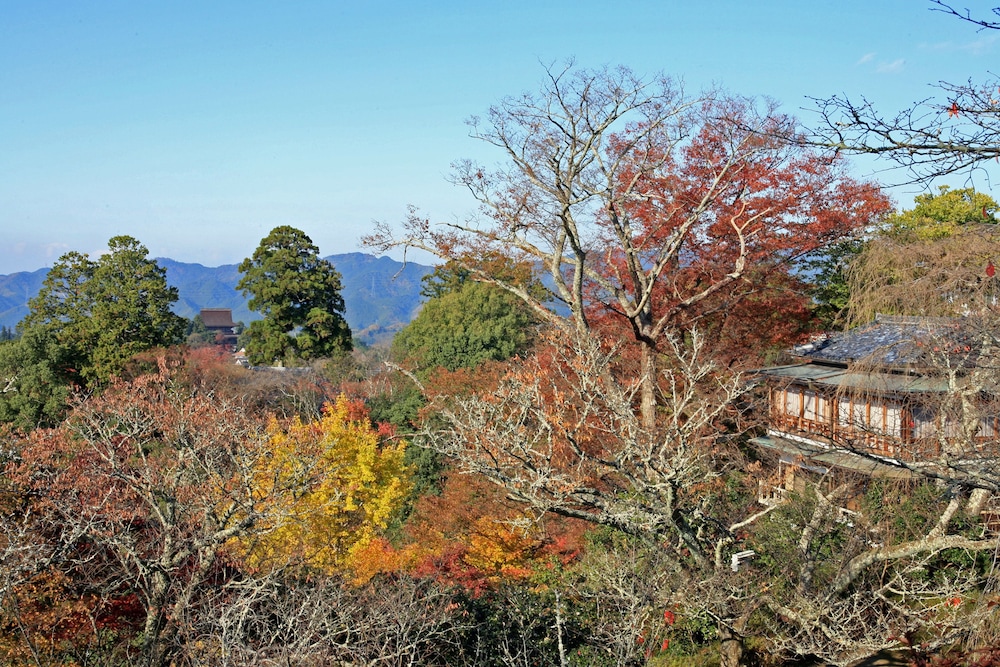竹林院群芳園 奈良