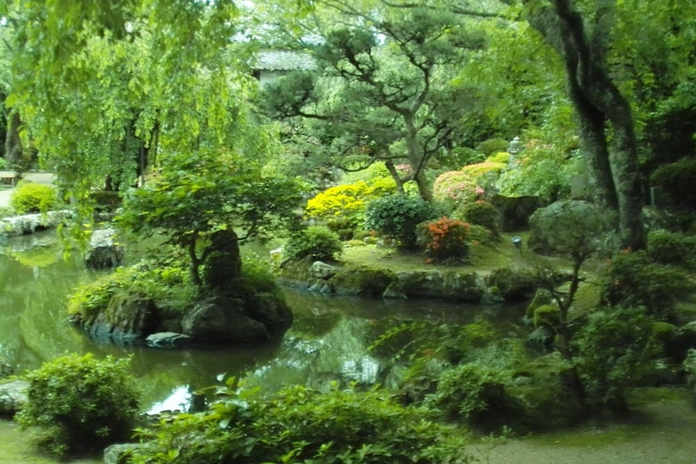 竹林院群芳園 奈良