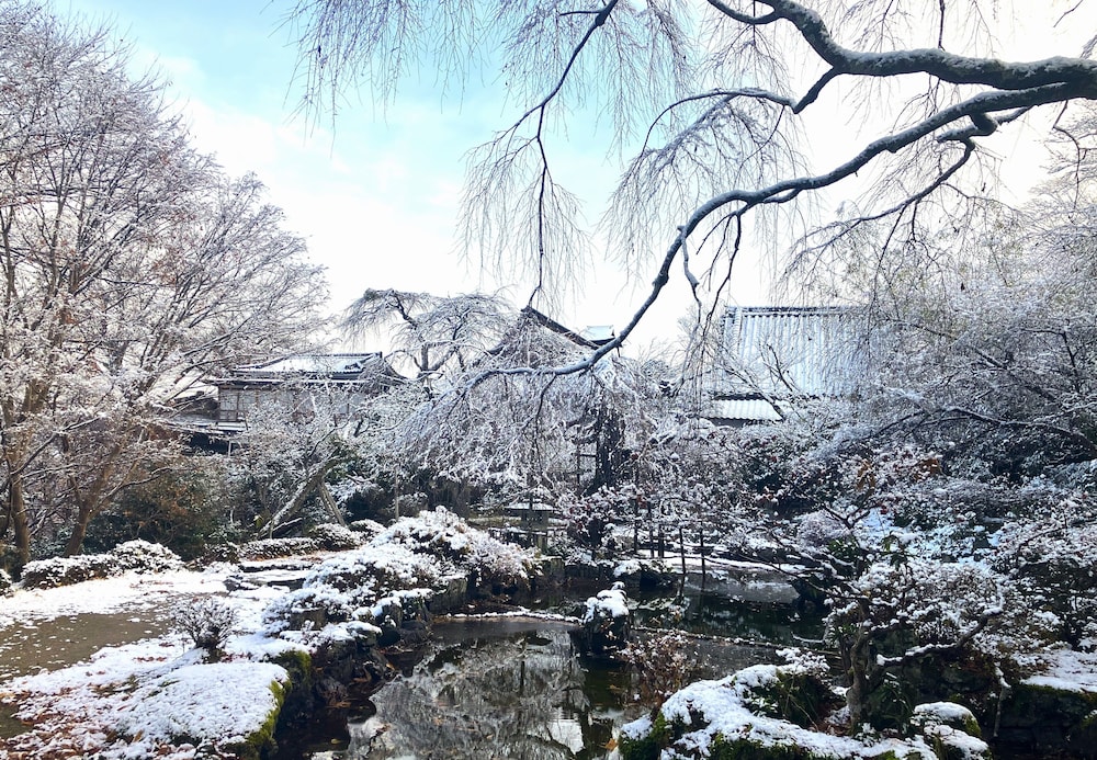 竹林院群芳園 奈良