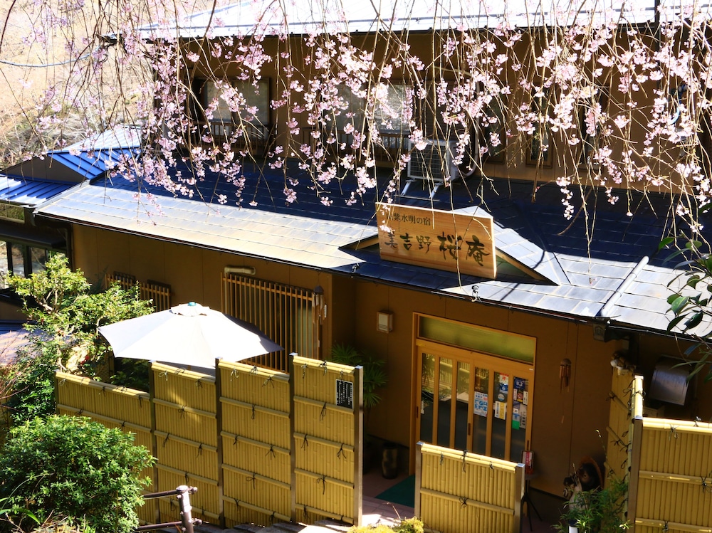 美吉野 桜庵 奈良