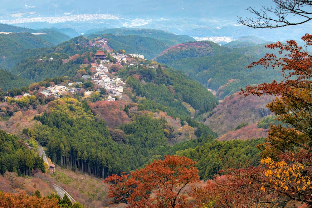 美吉野 桜庵 奈良
