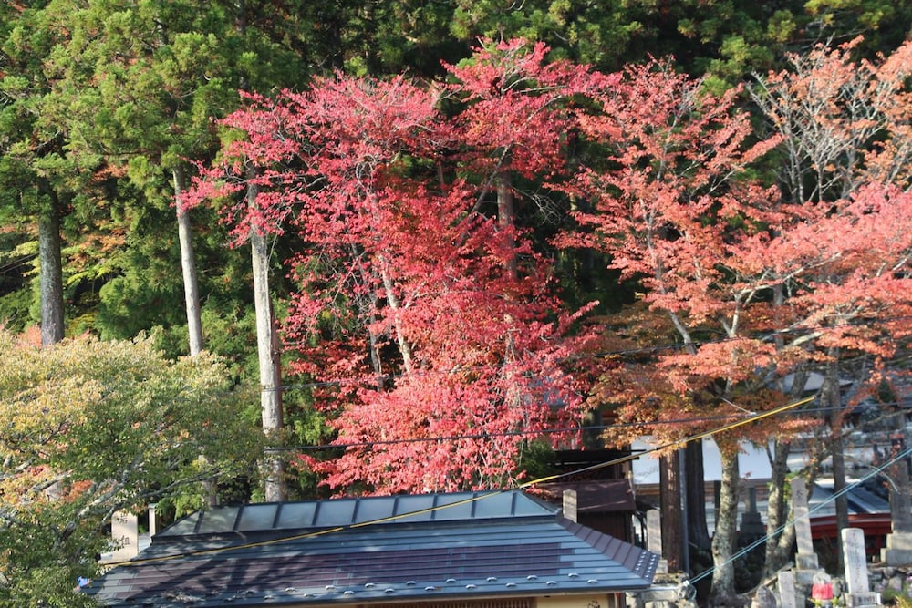 洞川温泉 あたらしや旅館 奈良
