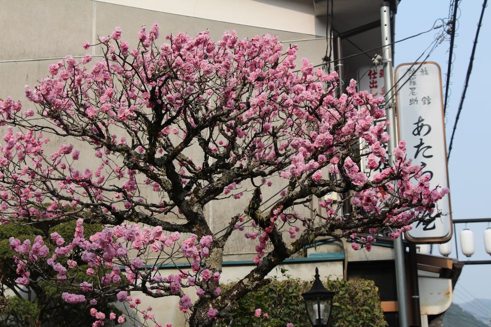 洞川温泉 あたらしや旅館 奈良