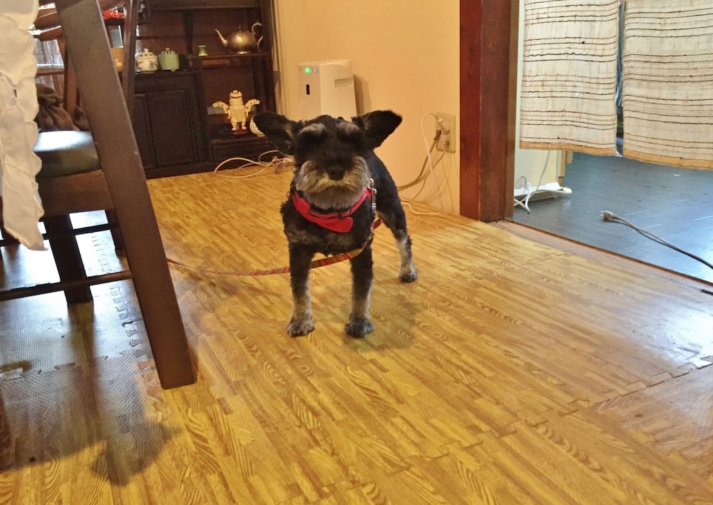 潤 HOTOBIL 奈良