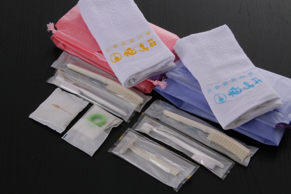 奈良の宿 飛鳥荘 奈良