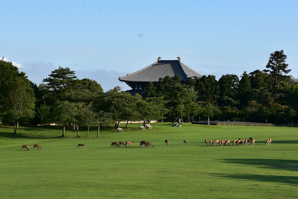町屋ゲストハウスならまち 奈良