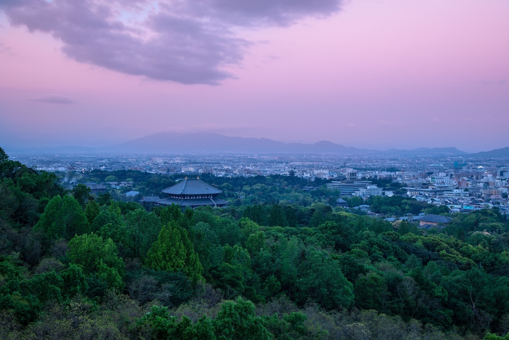 ANDO HOTEL 奈良若草山 ～DLIGHT LIFE & HOTELS～ 奈良