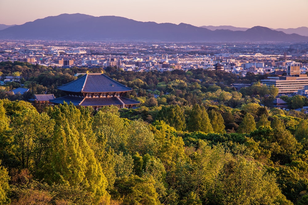 ANDO HOTEL 奈良若草山 ～DLIGHT LIFE & HOTELS～ 奈良