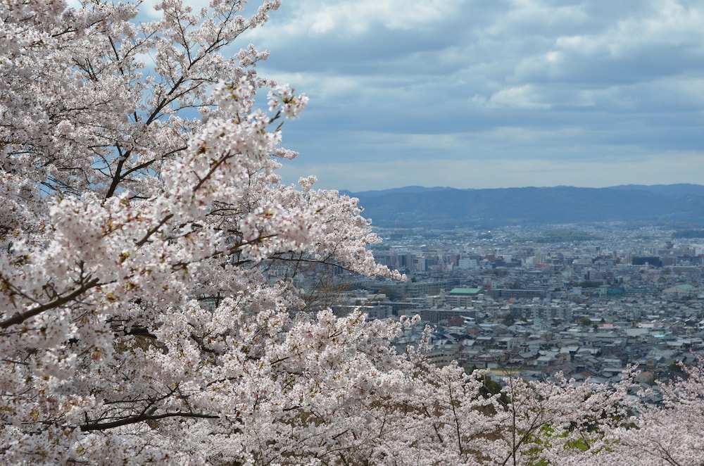 ANDO HOTEL 奈良若草山 ～DLIGHT LIFE & HOTELS～ 奈良
