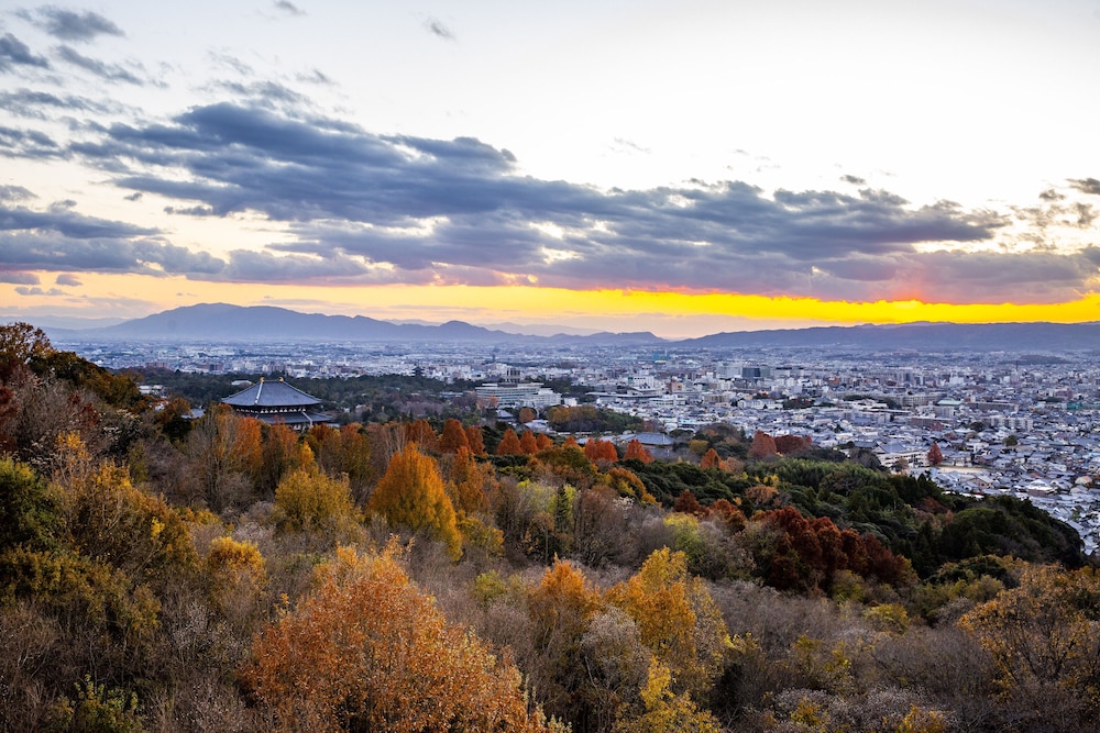 ANDO HOTEL 奈良若草山 ～DLIGHT LIFE & HOTELS～ 奈良