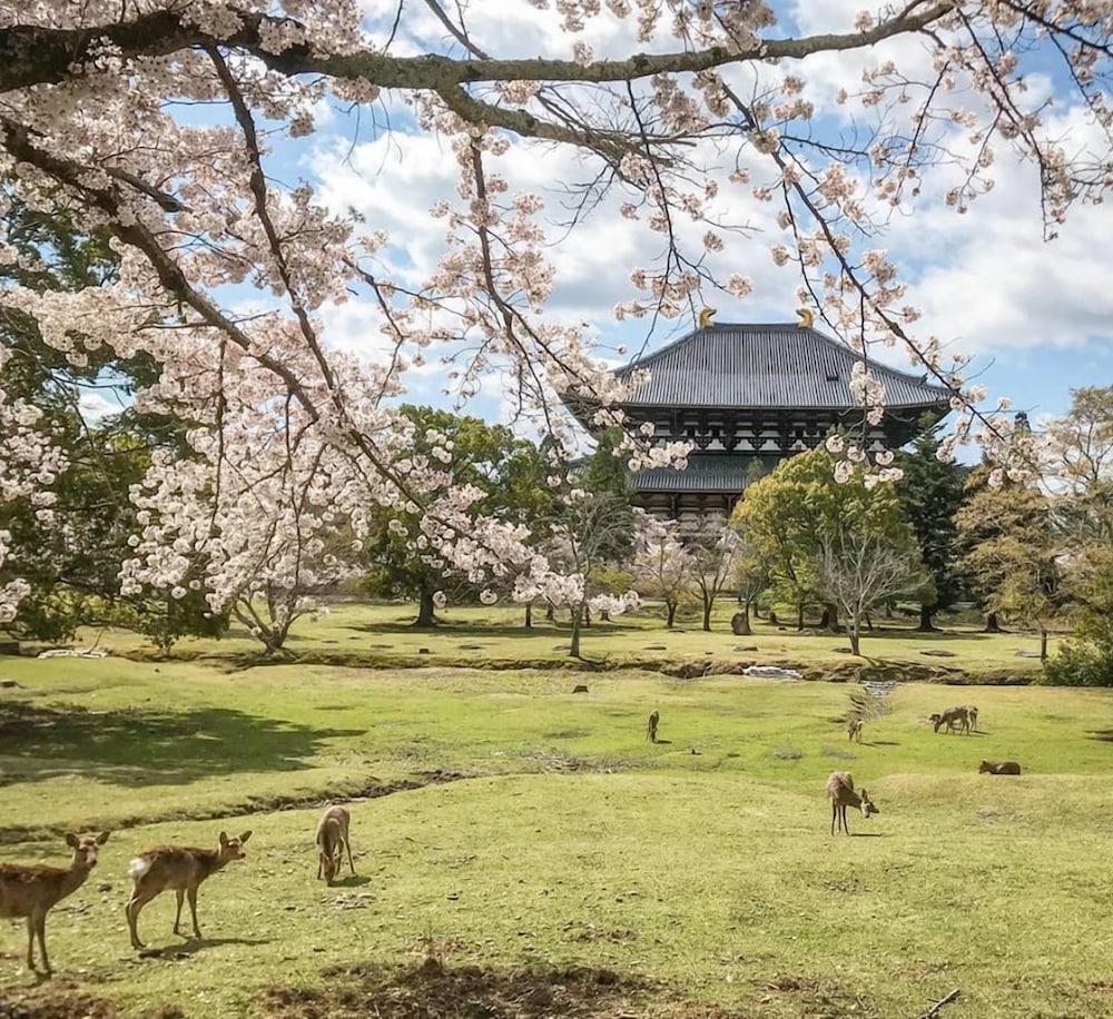 奈良県外国人観光客交流館 (奈良県猿沢イン) 奈良