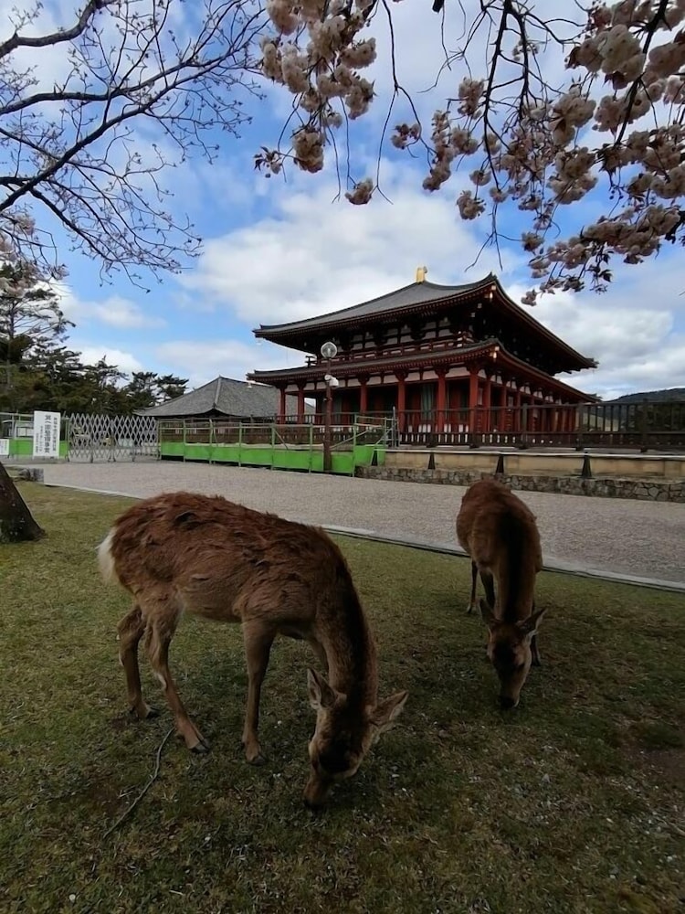 奈良県外国人観光客交流館 (奈良県猿沢イン) 奈良