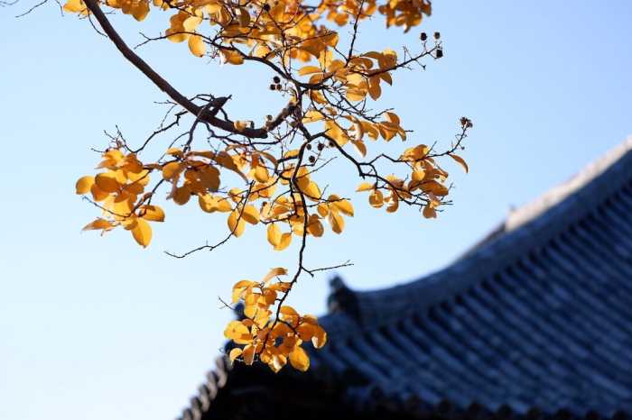 登大路ホテル奈良 奈良