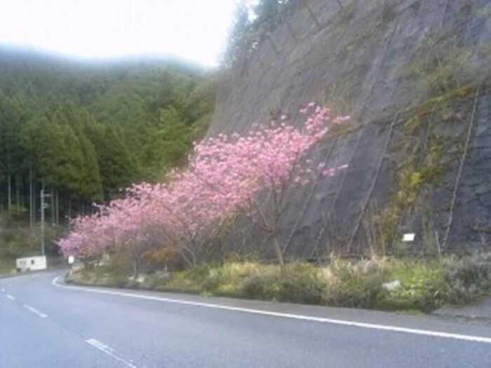 温泉名水の宿 旅館 紀の国屋甚八 奈良