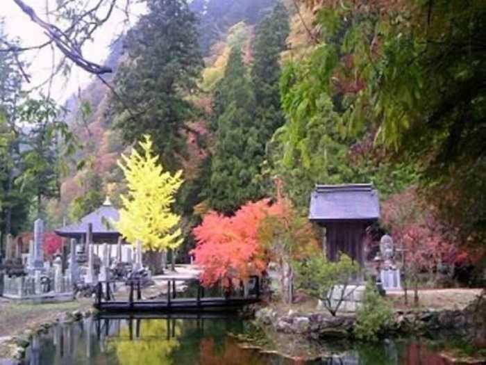 温泉名水の宿 旅館 紀の国屋甚八 奈良