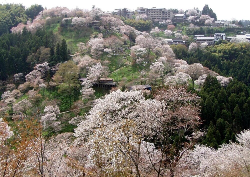 芳雲館 奈良