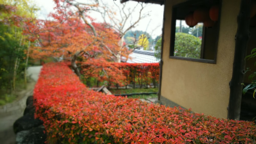 旅亭 十三屋 奈良