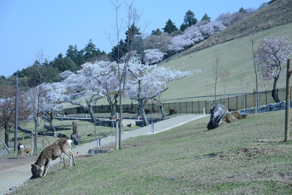 マウンテンホームロッジインディアーパーク 奈良
