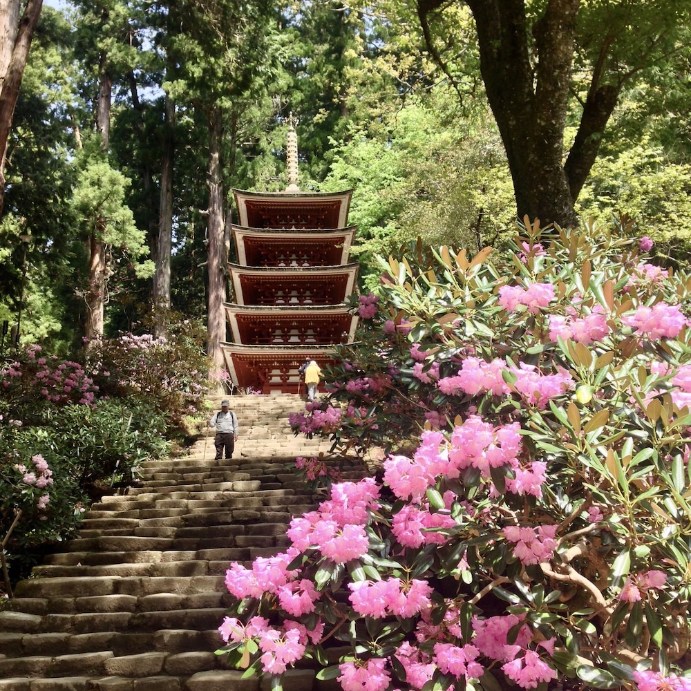 ゲストハウス いったん 奈良