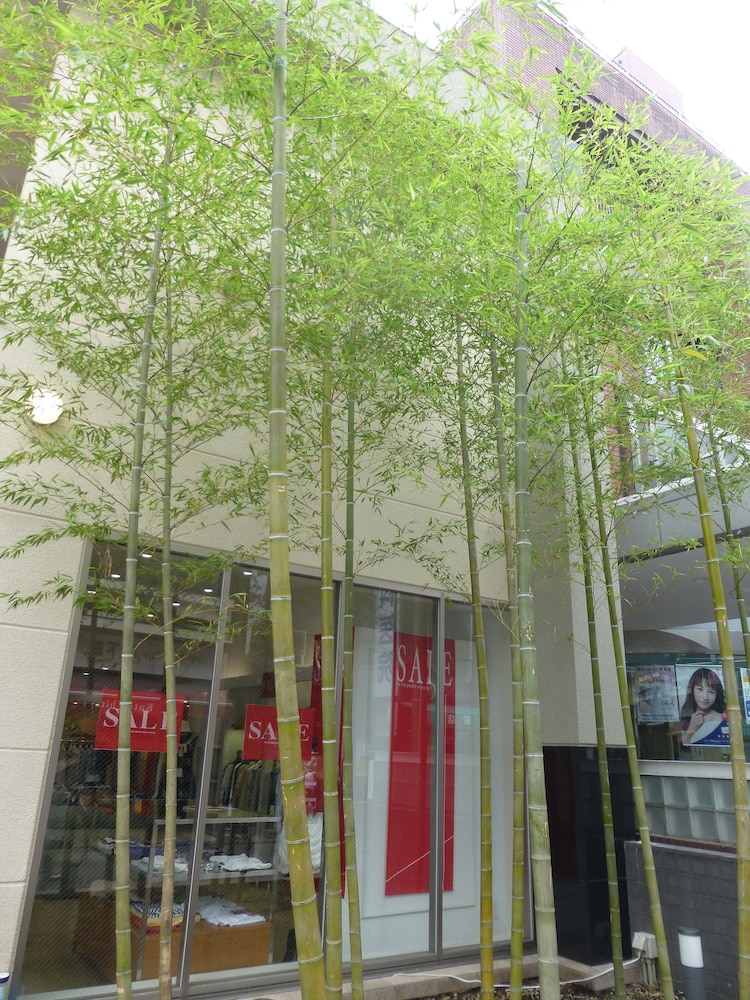 ホテル花小路 奈良