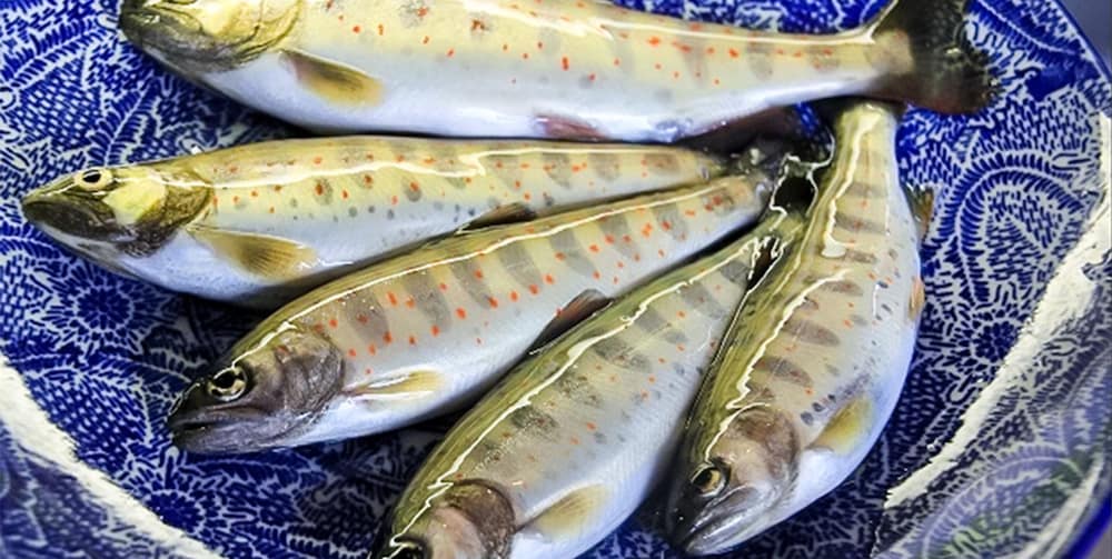 ホテルのせ川 奈良