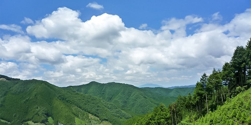 ホテルのせ川 奈良