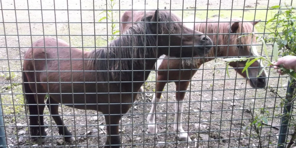 ホテルのせ川 奈良