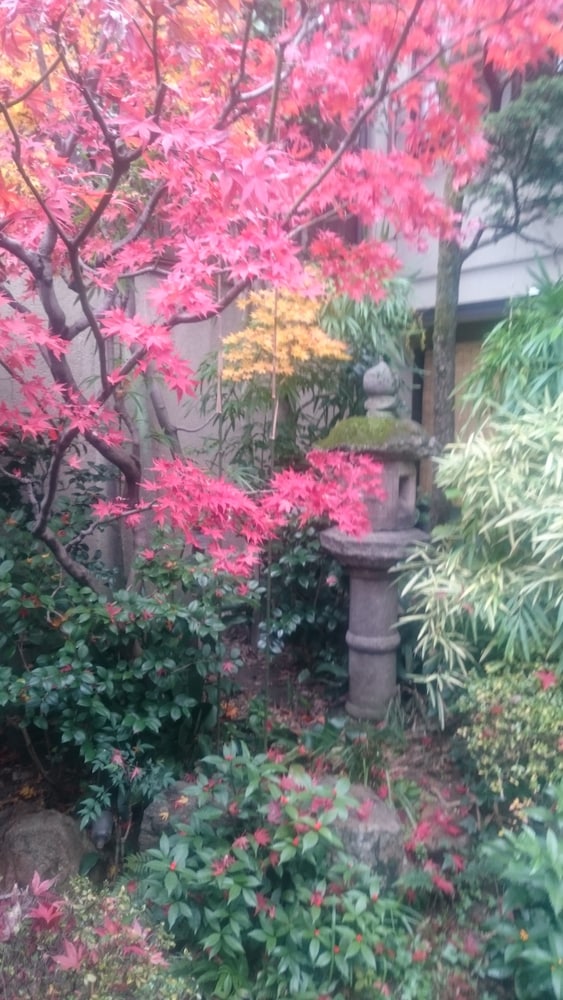 椿荘 奈良