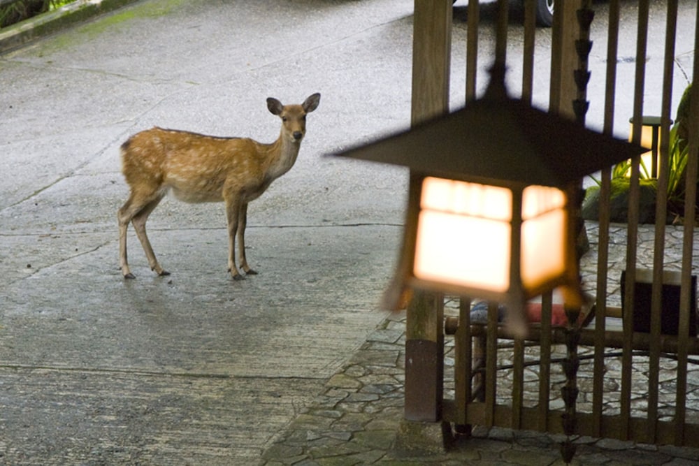 月日亭 奈良