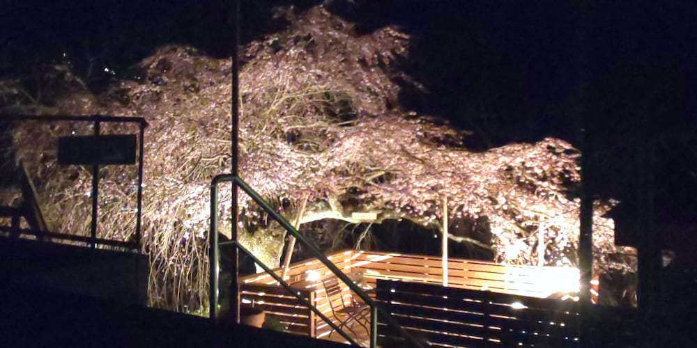 宝塔寺 奈良