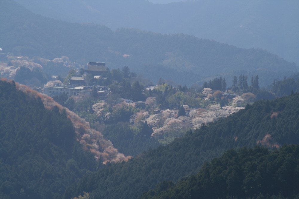 宝塔寺 奈良
