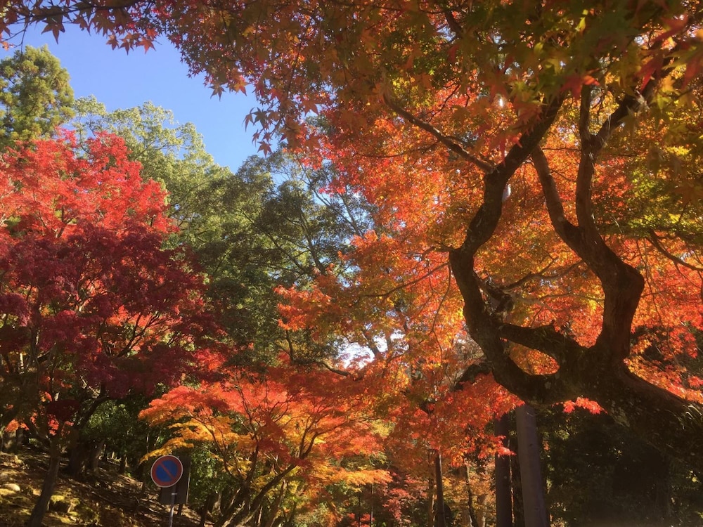 ザ ディア パーク イン 奈良