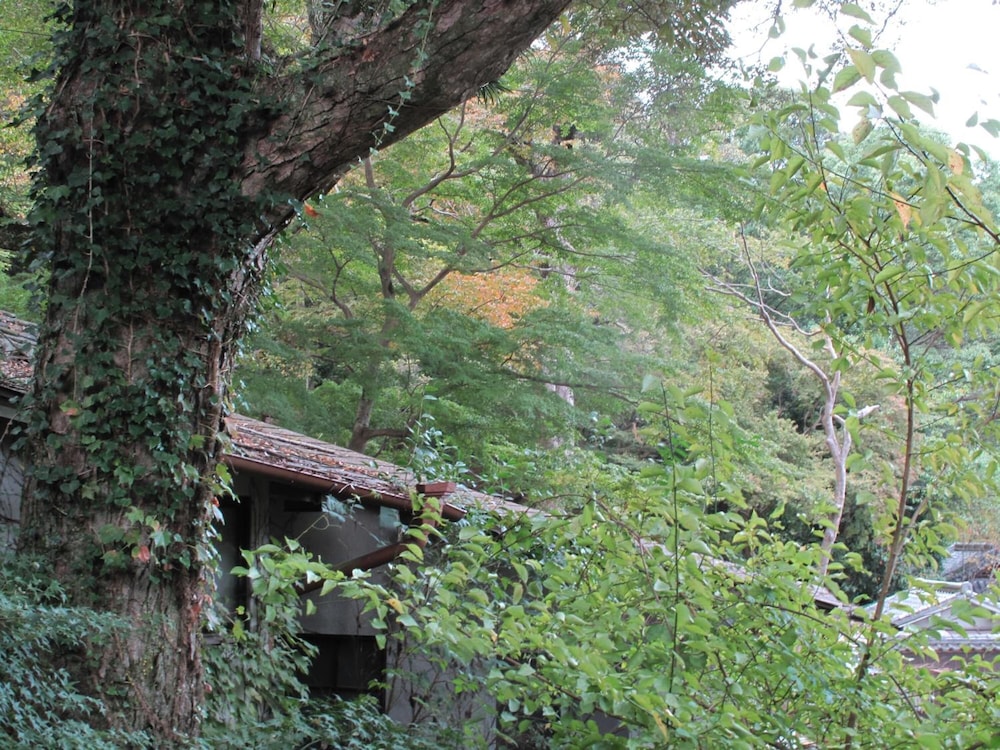 ザ ディア パーク イン 奈良