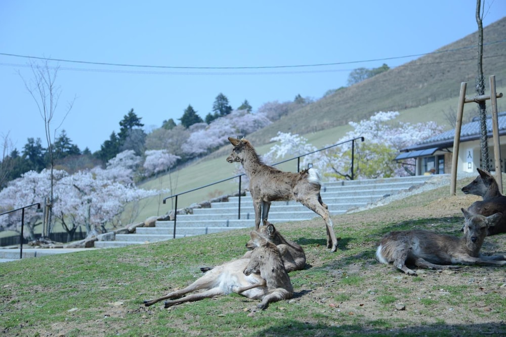 ザ ディア パーク イン 奈良