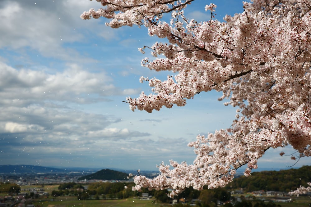 アスカ ゲスト ハウス 奈良
