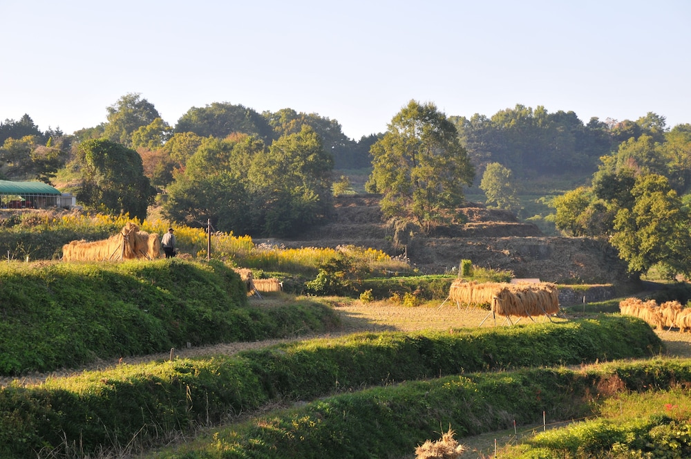 アスカ ゲスト ハウス 奈良