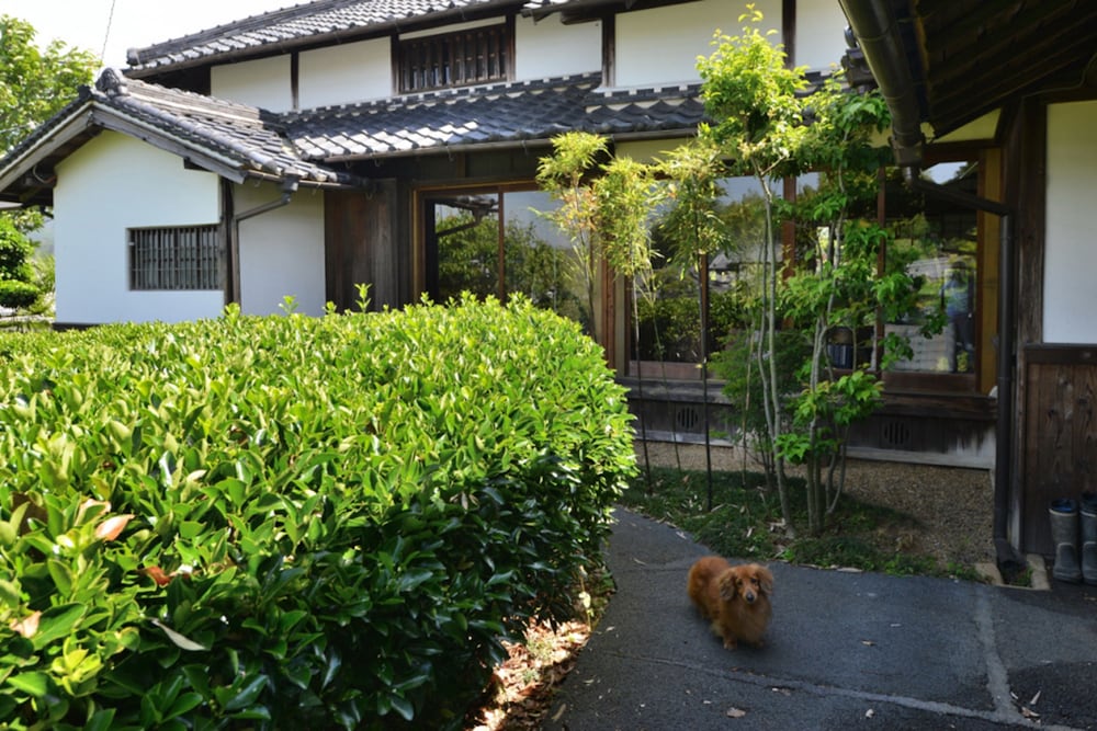 古都里庵 奈良