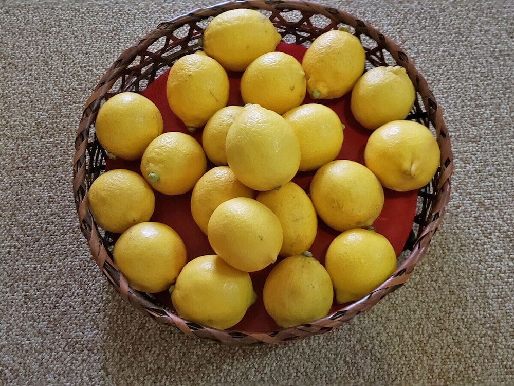 生駒のお宿　城山旅館 奈良