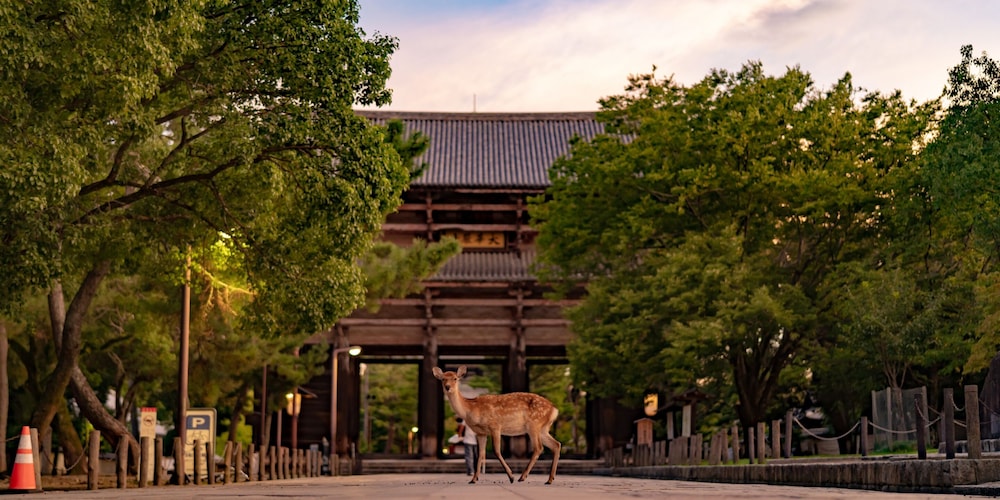 ホテル天平ならまち 奈良