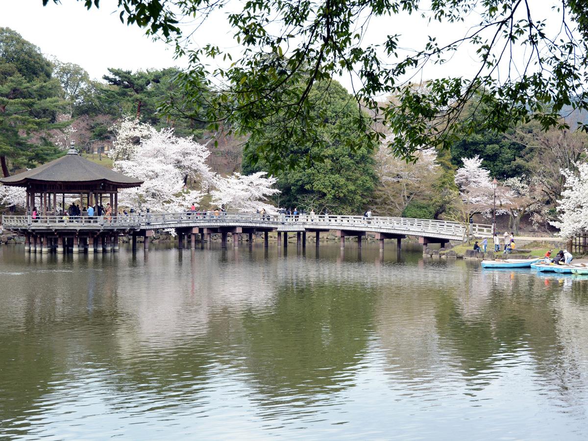 古っ都ん100% 奈良