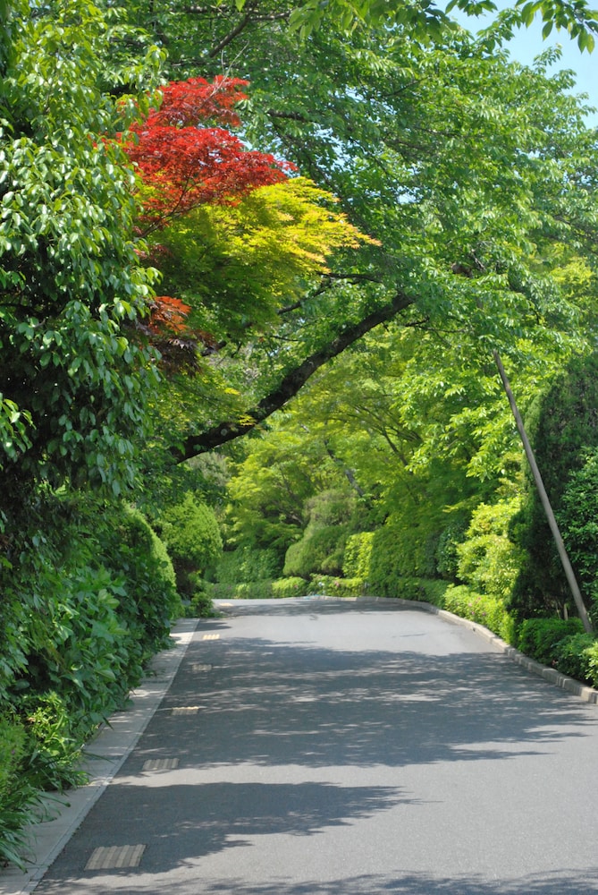 びわ湖花街道 滋賀