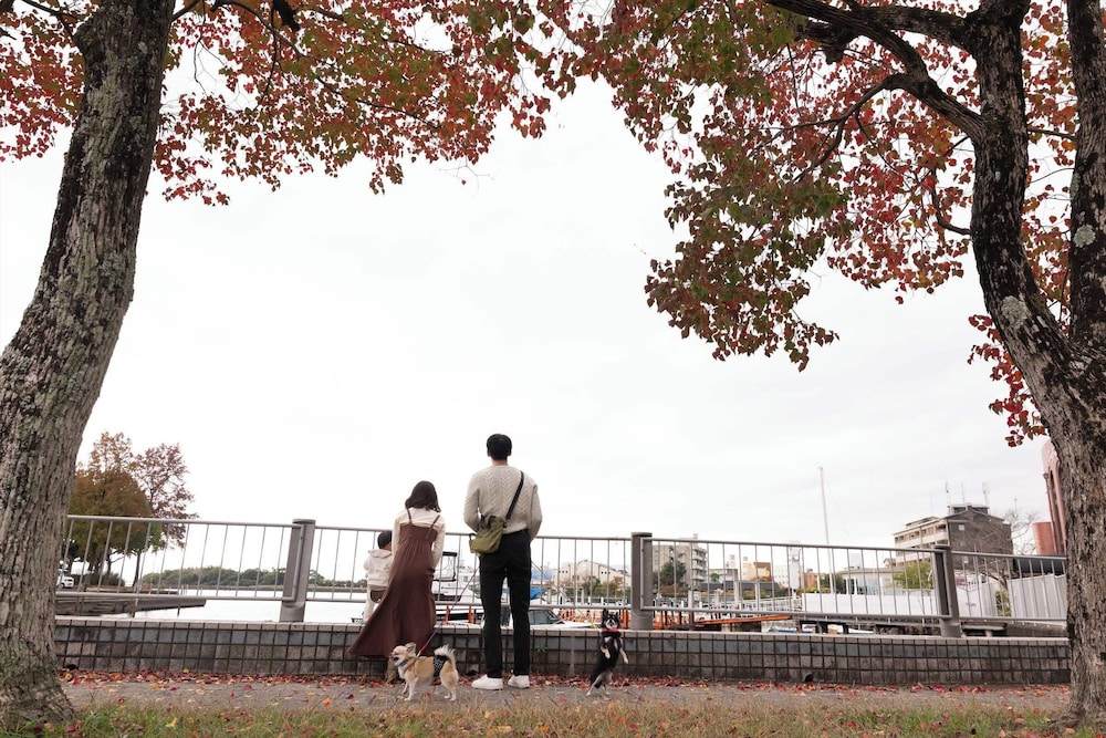 暖灯館きくのや 滋賀