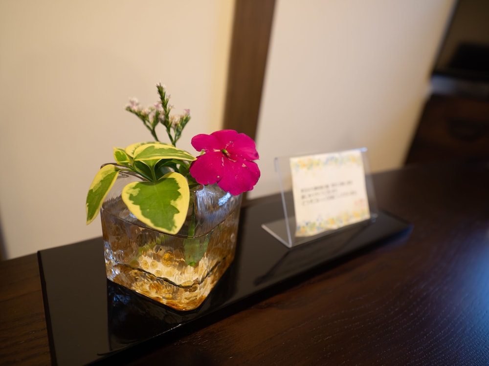 INASE OTSU MACHIYA BED & BREAKFAST 滋賀