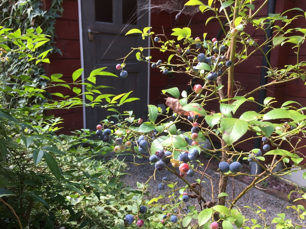 ゲストハウス CHALET SIELU 滋賀